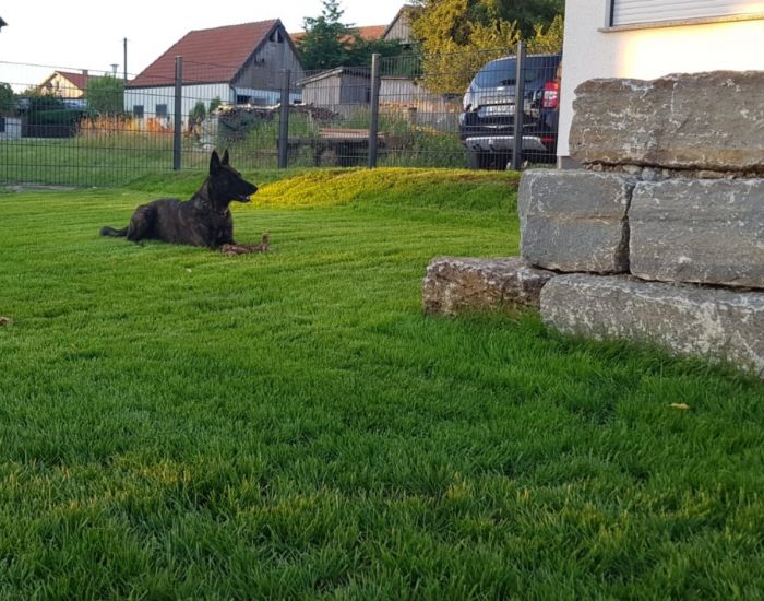 Beratung und Umsetzung von Grünflächen - Vogt-Garten- und Landschaftsbau
