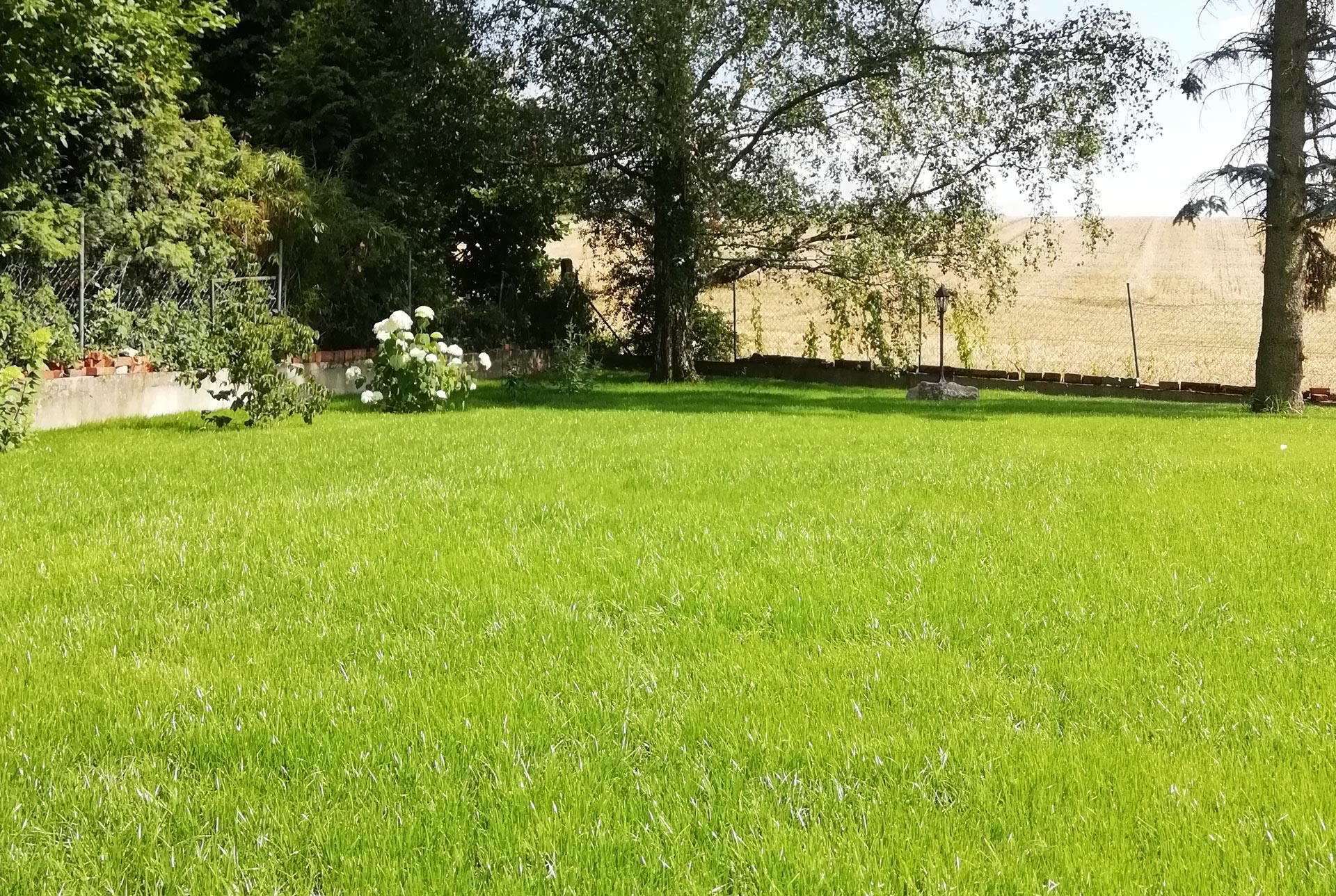 Beratung und Umsetzung von Grünflächen - Vogt-Garten- und Landschaftsbau